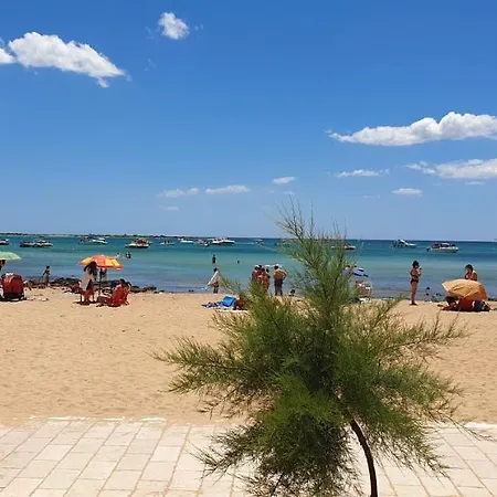 Alemar Porto Cesareo